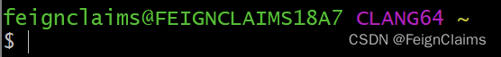 ../../../_images/Clang64_%E7%AA%97%E5%8F%A3%E6%A0%B7%E5%BC%8F.png