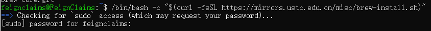 ../../../_images/WSL_%E8%BE%93%E5%85%A5%E5%AF%86%E7%A0%81.png